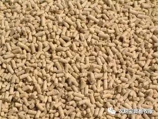 討要飼料款遇“神逆轉”，養殖戶反訴飼料致生豬死亡