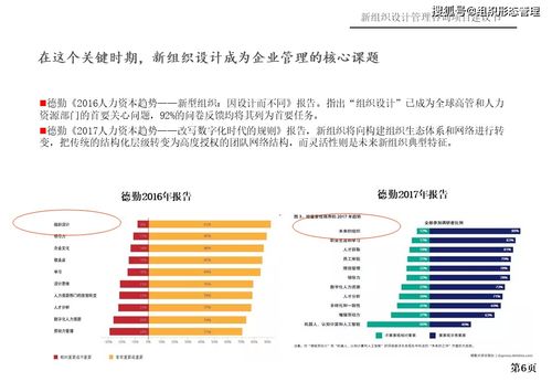 新組織設計管理與旅游開發(fā)項目策劃咨詢建議書